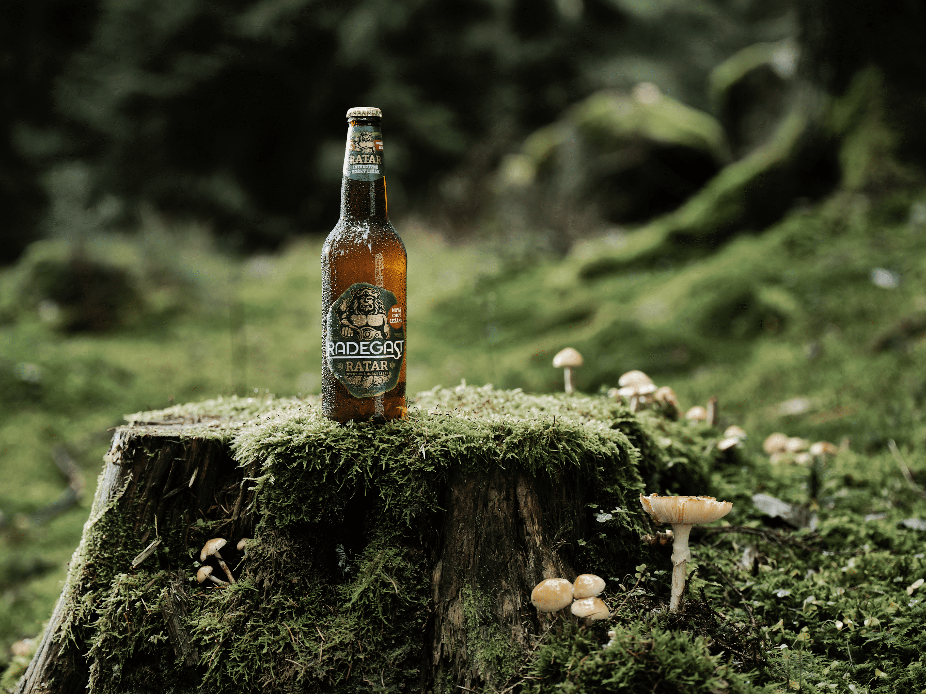 PIVO